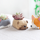 Creative Sleeping Pet Succulent Flower Pot