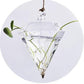 Diamond and Mushroom Shaped Glass Hanging Plant Pots