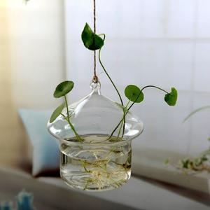 Diamond and Mushroom Shaped Glass Hanging Plant Pots