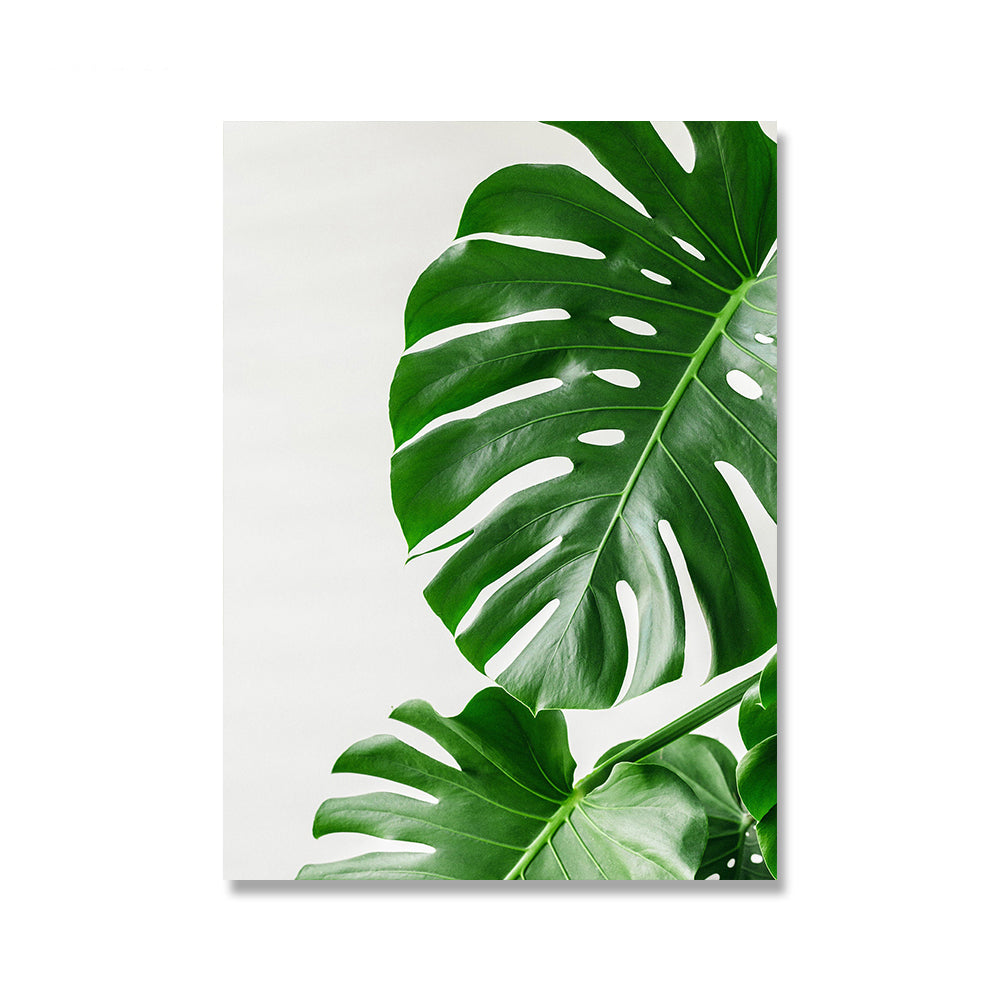 Home Decor Monstera Plant Leaves Canvas Painting