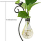 Hydroponic Plant Vessel Indoor Green Plants Glass Planter Pot with Steel Stand