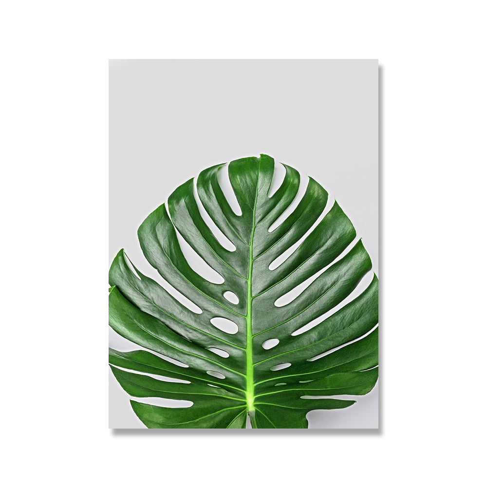 Home Decor Monstera Plant Leaves Canvas Painting