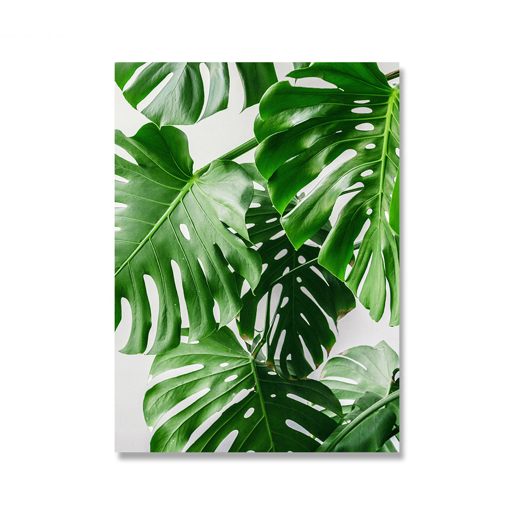 Home Decor Monstera Plant Leaves Canvas Painting