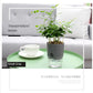 Transparent Double Layer Plastic Flower Pot Self Watering Flowerpot Cotton Rope Watering Small Plant Pot with Injection Port