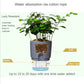 Transparent Double Layer Plastic Flower Pot Self Watering Flowerpot Cotton Rope Watering Small Plant Pot with Injection Port