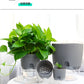 Transparent Double Layer Plastic Flower Pot Self Watering Flowerpot Cotton Rope Watering Small Plant Pot with Injection Port