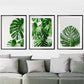 Home Decor Monstera Plant Leaves Canvas Painting