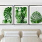 Home Decor Monstera Plant Leaves Canvas Painting