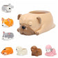 Creative Sleeping Pet Succulent Flower Pot