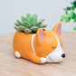 Creative Sleeping Pet Succulent Flower Pot
