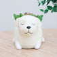 Creative Sleeping Pet Succulent Flower Pot