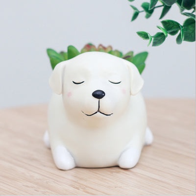 Creative Sleeping Pet Succulent Flower Pot