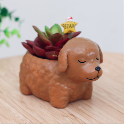 Creative Sleeping Pet Succulent Flower Pot