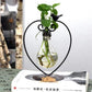 Hydroponic Plant Vessel Indoor Green Plants Glass Planter Pot with Steel Stand